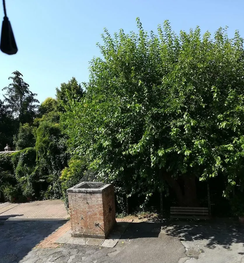 Il Gelso Apartment Siena