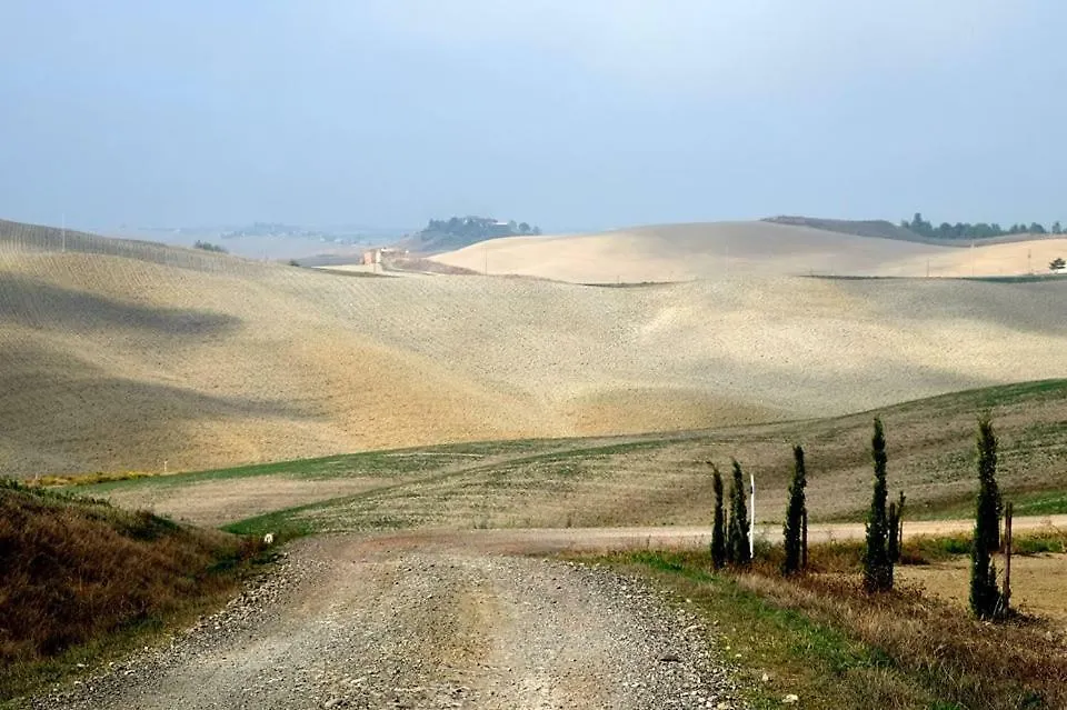 Il Gelso Apartment Siena Italy